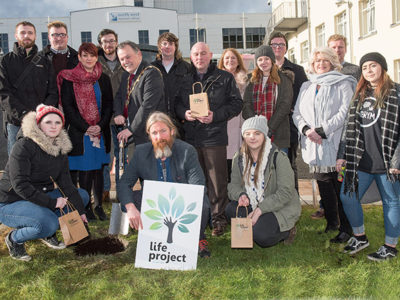 Life Tree Derry0602183 nwrcweb