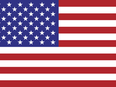 US Flag web